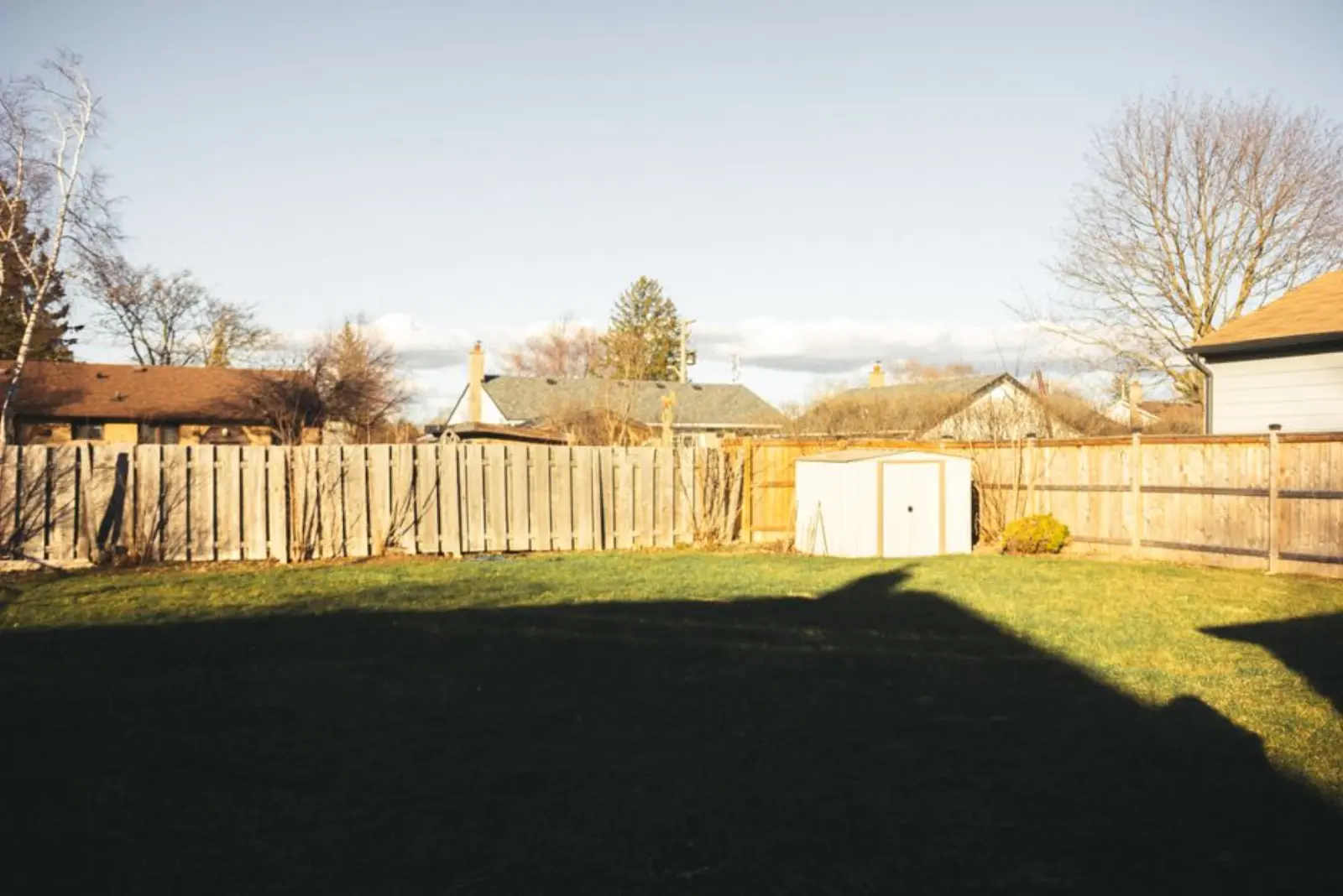 Residential backyard with wooden fence, shed, lawns, and tree shadows on a sunny day.
